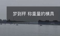 沉睡间梦见秤称测物体重量的横式工具