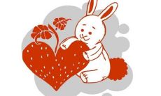 2023年兔年本命年的禁忌:需要注意的忌讳有哪些?