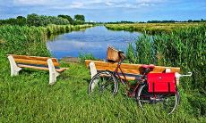 揭秘三两八钱女命的全面运势及劳碌命疑问解答