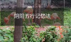 如何利用阴阳五行记忆法来提升记忆能力和加深对自然界规律的理解?