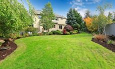 背部左侧长有痣的含义是什么?背部痣长在何处意味着不良运势?