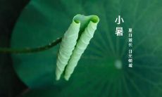 立冬时节是否适合开业?开业前应注意什么细节?