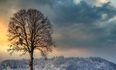 深入探究流年神煞之意义及八字神煞国印贵人的全面解析