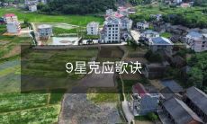 九颗星星(评分系统)的克应(相克规则)歌诀-掌握实用技巧!