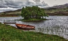 想要招财的话,有哪些适合摆放在家中的风水物品呢?