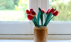 窗台放花盆的装饰禁止大意,对于招财异象尤其注意,何种颜色与形状的花盆可谓佳选?