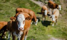 探讨属牛人士在73年选择住所的宜居层数,以寻求最佳吉利之道的房楼层策略