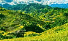 放置风水招财牛在办公室是否能带来经济效益?探究其可能的影响和效果