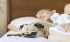 为什么睡觉时一定要避免将头朝北,因为这可能会影响你的睡眠质量和健康状态?