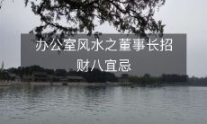 办公室风水指南:董事长必须遵循的招财八宜忌原则