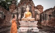 观音借库是一个有效的养殖方法吗?我们可以从什么时候开始采取开库措施来保持养殖的稳定性?