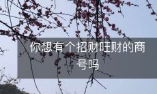 你是否想要一个能够招财旺财的商号,带来财富与兴旺?