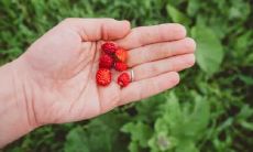 揭秘额头面相:揭示额头的露出与机遇的密切关系