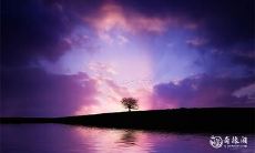 逢7必转运?逢8必遇灾?逢9必混乱?——探析数字谚语的神秘力量