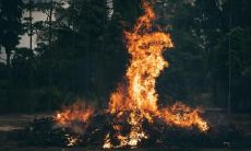 头发遮住额头的负面影响:探究头部遮挡对人类感知与心理的影响