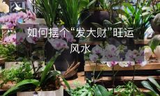 通过风水布局与装饰,如何打造一个有助于财运提升并让您“发大财”的吉祥旺运空间