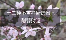 十二种能够削弱厨房风水,从而影响财运的不吉祥的厨房摆设及布局方案