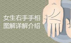 详尽介绍女性右手掌纹图解,让您深入了解掌纹研究中的重要知识!