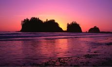 女性手指形态与生活品质的关联:揭示女性享福生活的指尖秘密