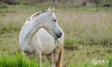 马年出生的人,如果在购房时考虑居住体验和房产升值,应选择在哪一层楼居住?——深度解析在买房时选择何层楼最好的相关因素