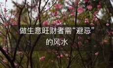 风水是做生意旺财者必须注意的“避忌”事项,正确的风水能带来财富和成功!