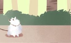 女命中有官星的人婚姻是否必然会一帆风顺?