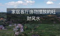 如何在家居客厅摆放饰物以获得旺财风水的效果?