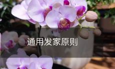 在所有领域中实施的通用发家原则:将注意力集中在长期目标上,不断学习并主动寻求机会,以及良好的人际关系