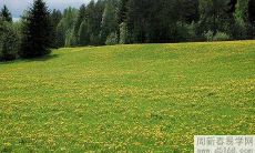 通过在家放置什么物品能迅速吸引财运?财神爷是最具吸财之力的选择