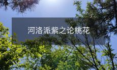 一探河洛派紫之论桃花:探索古代诗词中对桃花的赞美与美学观念