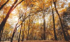 脖子右边有痣的男生的生命状况如何?通常来说,脖子上有痣对健康有影响吗?