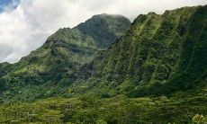 是否适宜使用他人遗留的金蟾?应该如何处理他人遗留的金蟾?