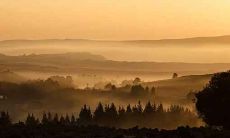 生肖属蛇和生肖属马的配对关系:探究两者之间的个性特征、相互吸引因素以及可能面临的挑战和解决方法