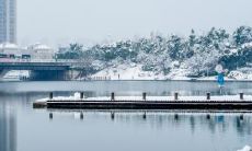 如何在2020年立冬季节选出最佳结婚吉日,为您的婚礼增添好运?