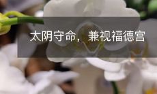 同时考虑太阴守命和福德宫的神秘力量:探秘兼顾太阴守命和福德宫的强大神力