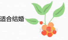 红鸾和天喜,考虑到个人性格、家庭背景、生活习惯等多重因素,哪一个更适合作为结婚伴侣呢?