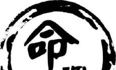 2020年11月份出生的新生儿属于哪种命格?五行属性中哪一项存在缺陷?