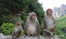 预测2023年发财运势:揭秘手相背后的暗财源与赚钱机会