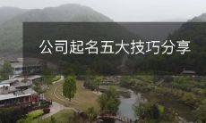分享五大起名公司的技巧,帮助你创造一个有创意和独特的品牌名称
