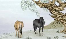 在2023年,哪个生肖女会最具魅力?哪种八字组合会更容易招惹爱情呢?