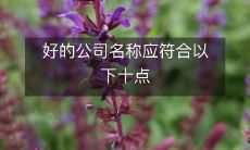 好的公司名称的十个标准:如何创造一个能够让人印象深刻、增强品牌认知度、与目标市场相符合的名称?