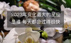 哪个星座在2023年将经历最大的变化,并且每天都会过得非常快乐?