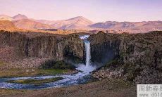 孩子书房装哪些植物更能提高学习效率和运势?