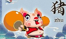 2023年生肖猪凶星已消失,属猪人如何寻求转运之道?