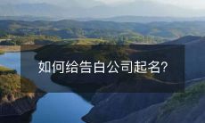经验分享:如何在起名时为告白公司选择一个具有吸引力和独特性的名称?