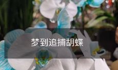 在梦中追逐胡蝶:一个神秘、富有想象力的梦境历险故事