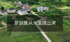在梦中见到鱼儿从水中欢腾跳跃,仿佛是一幅迷人的图画呈现在眼前