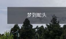 扭曲诡异的梦境:我惊恐地梦到蛇头缠绕着我,仿佛要吞噬我的灵魂!