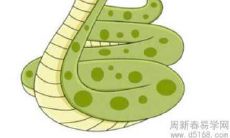 深度解析梦中蛇的象征意义及可能的心理暗示