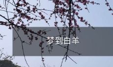 梦见白羊追逐自己,让人疑惑的潜意识之旅